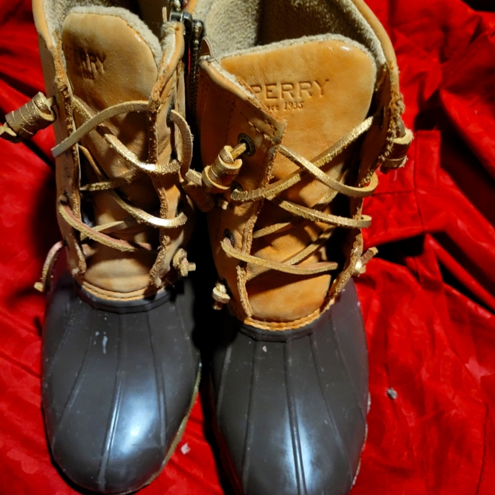 Sperry Ducks